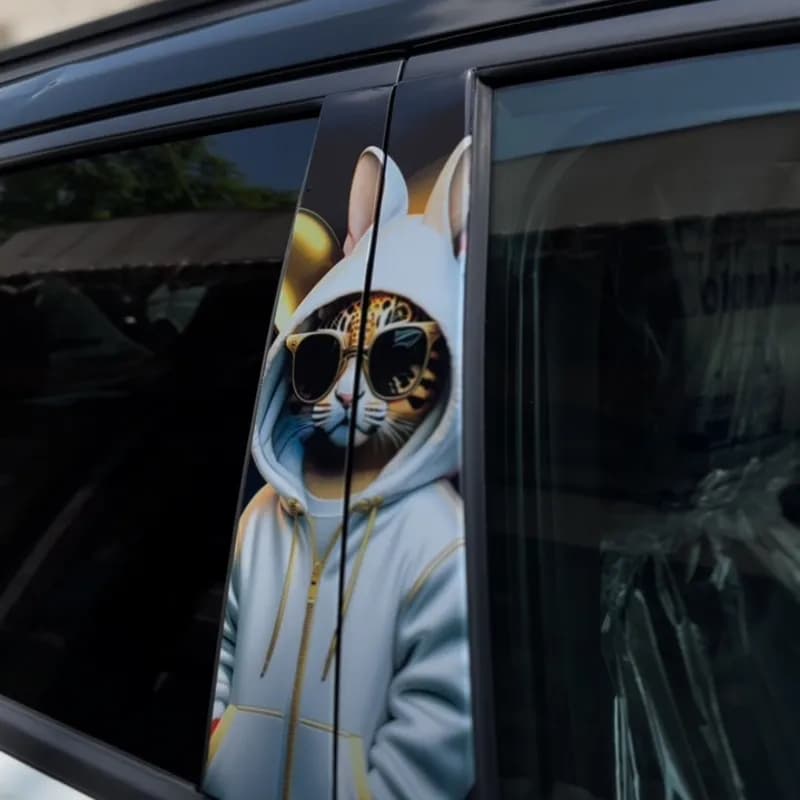 CAR DOOR PROTECTOR 🐈